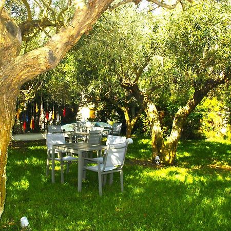 Mariya Art Living Apartment Nea Skioni Exterior photo